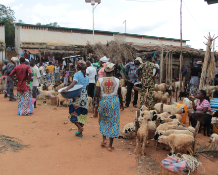 Herinrichting centrale markt in Dogbo